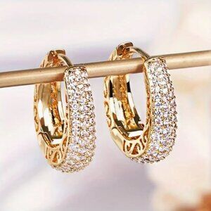 Elegant Gold and Silver Hoop Earrings